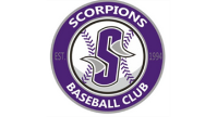 Scorpions Baseball Camp
